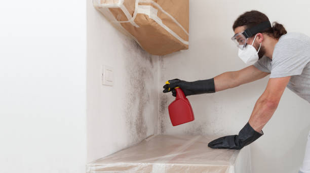 Attic Mold Remediation treatment on roof deck in Lake Zurich